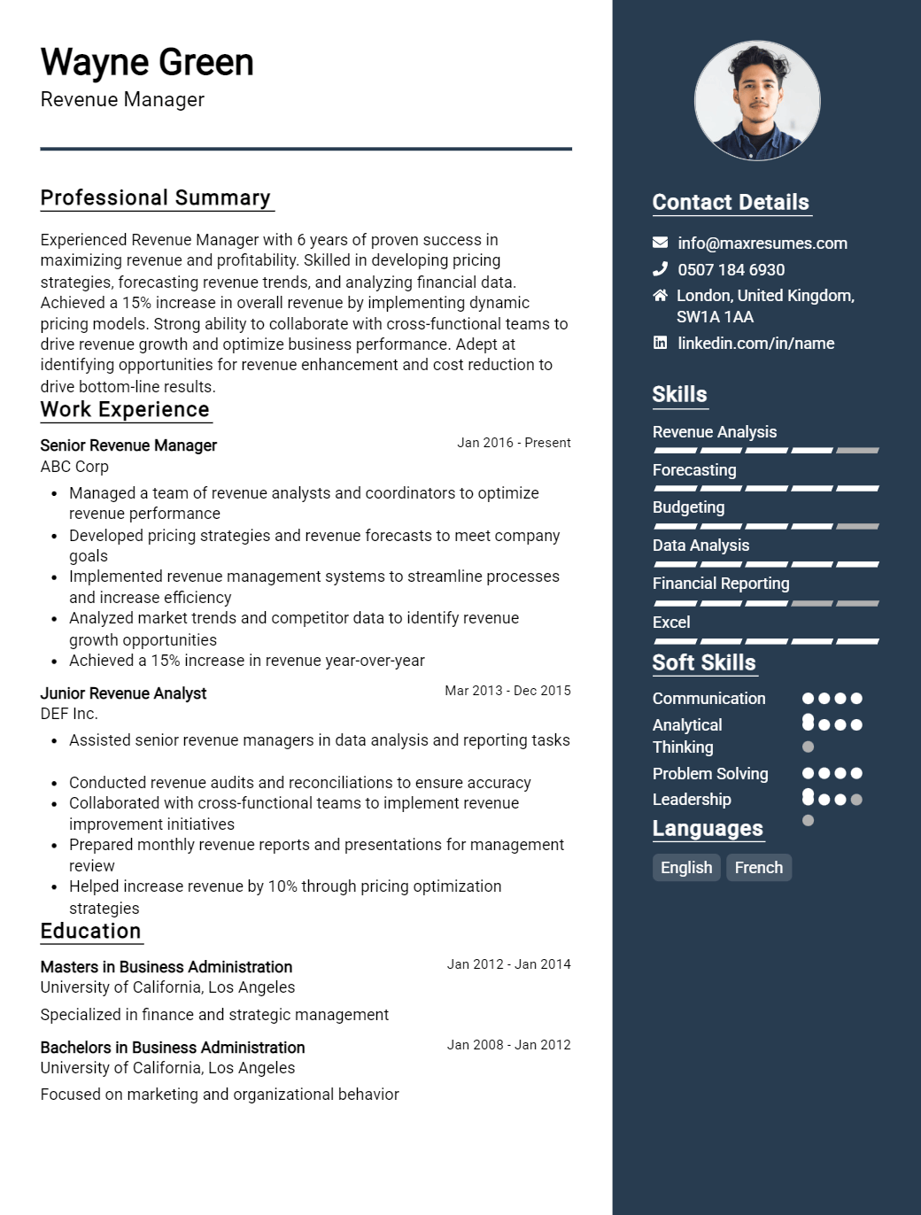 revenue-manager-resume-sample