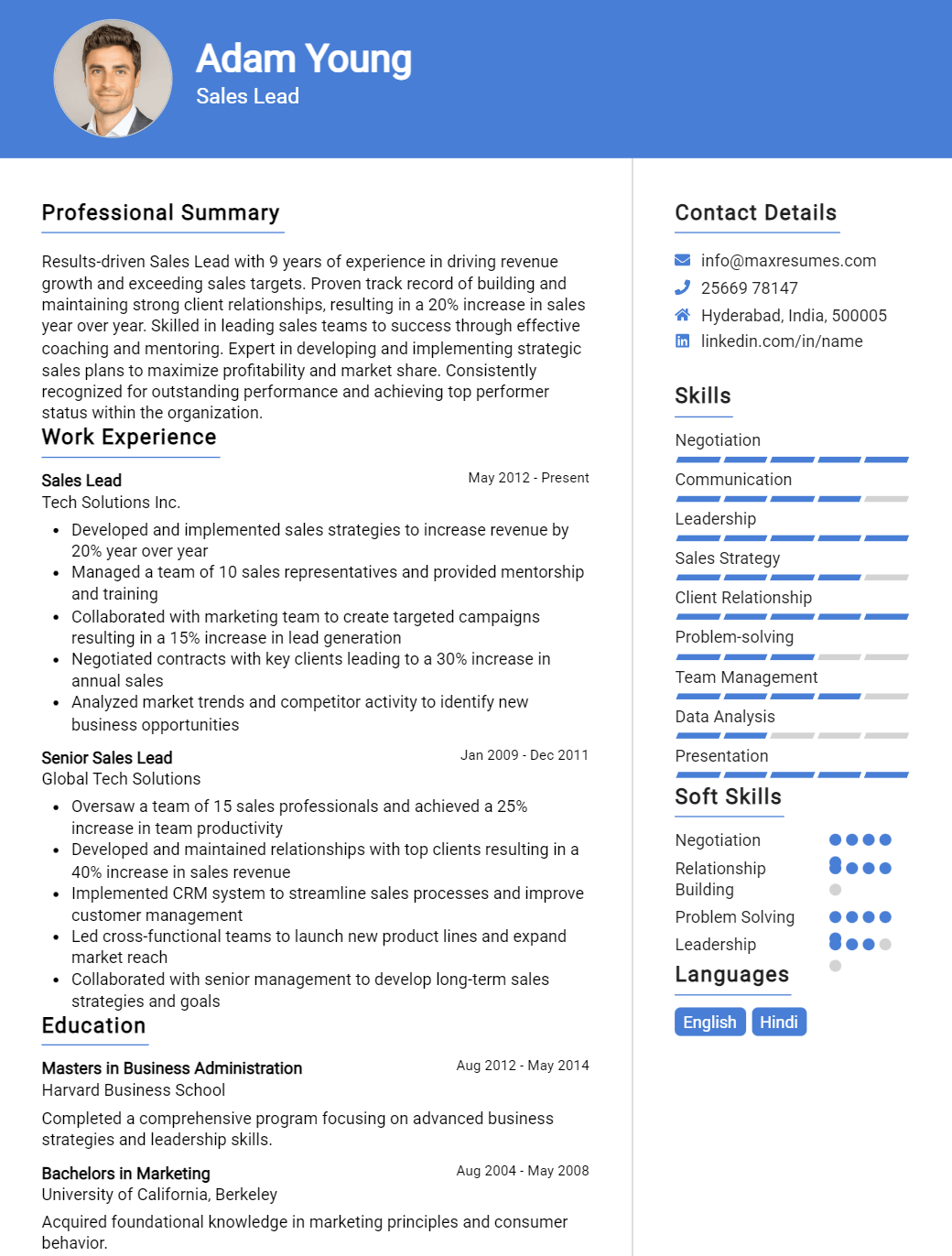 sales-lead-resume-sample