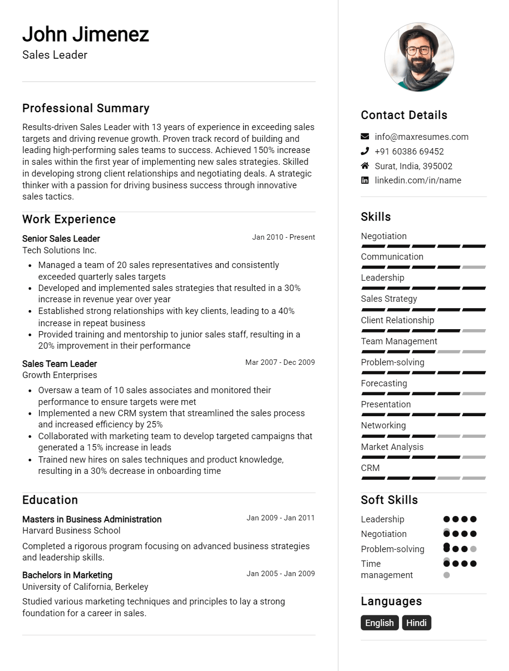 sales-leader-resume-sample