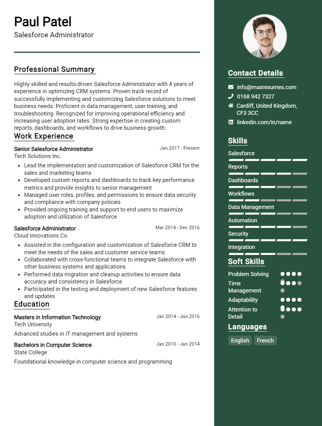 salesforce-administrator-resume-sample