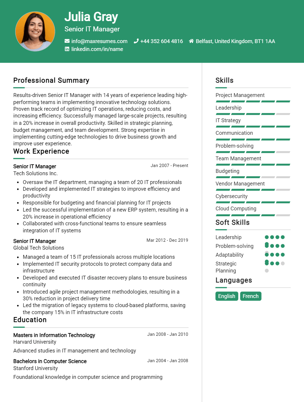 senior-it-manager-resume-sample