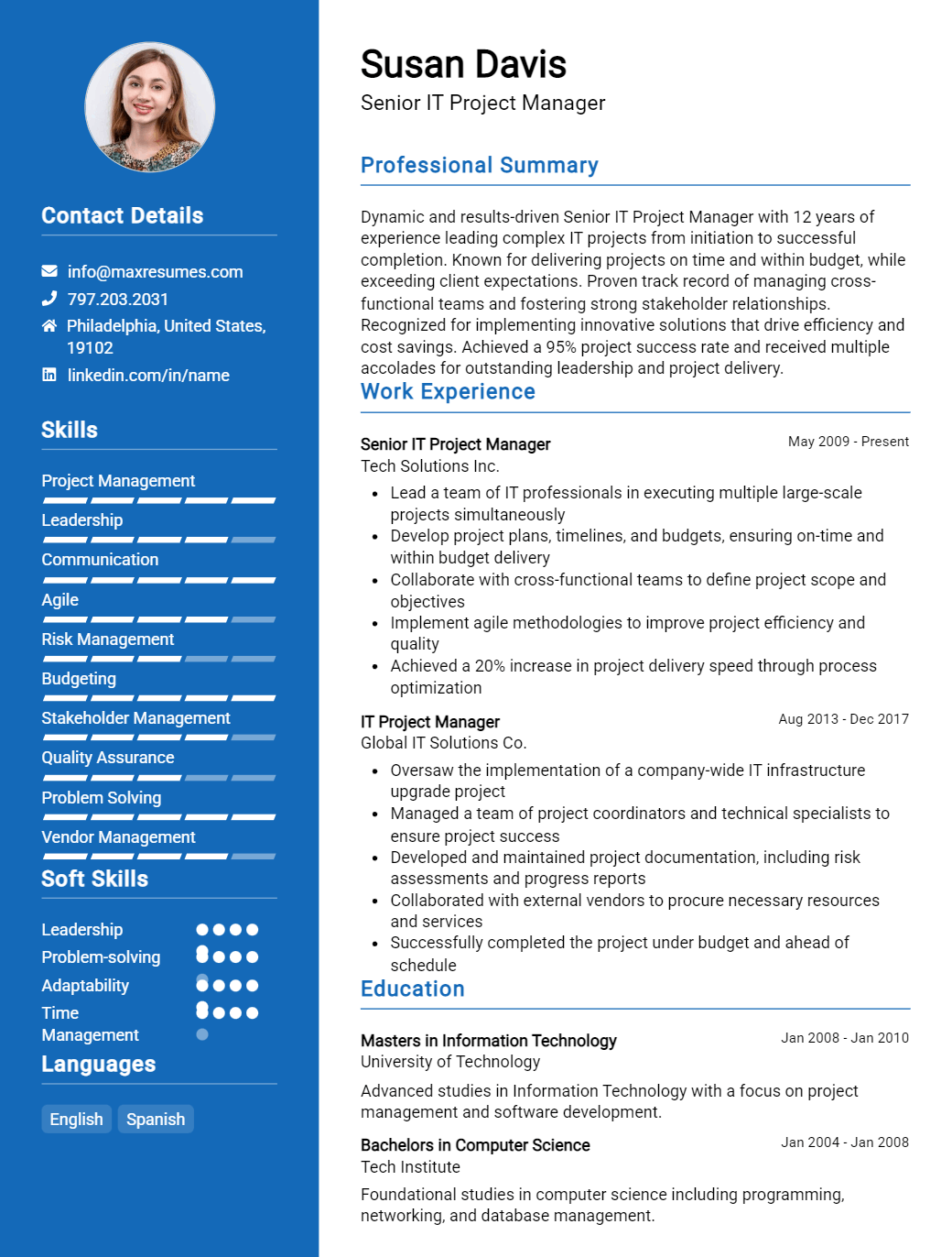 senior-it-project-manager-resume-sample