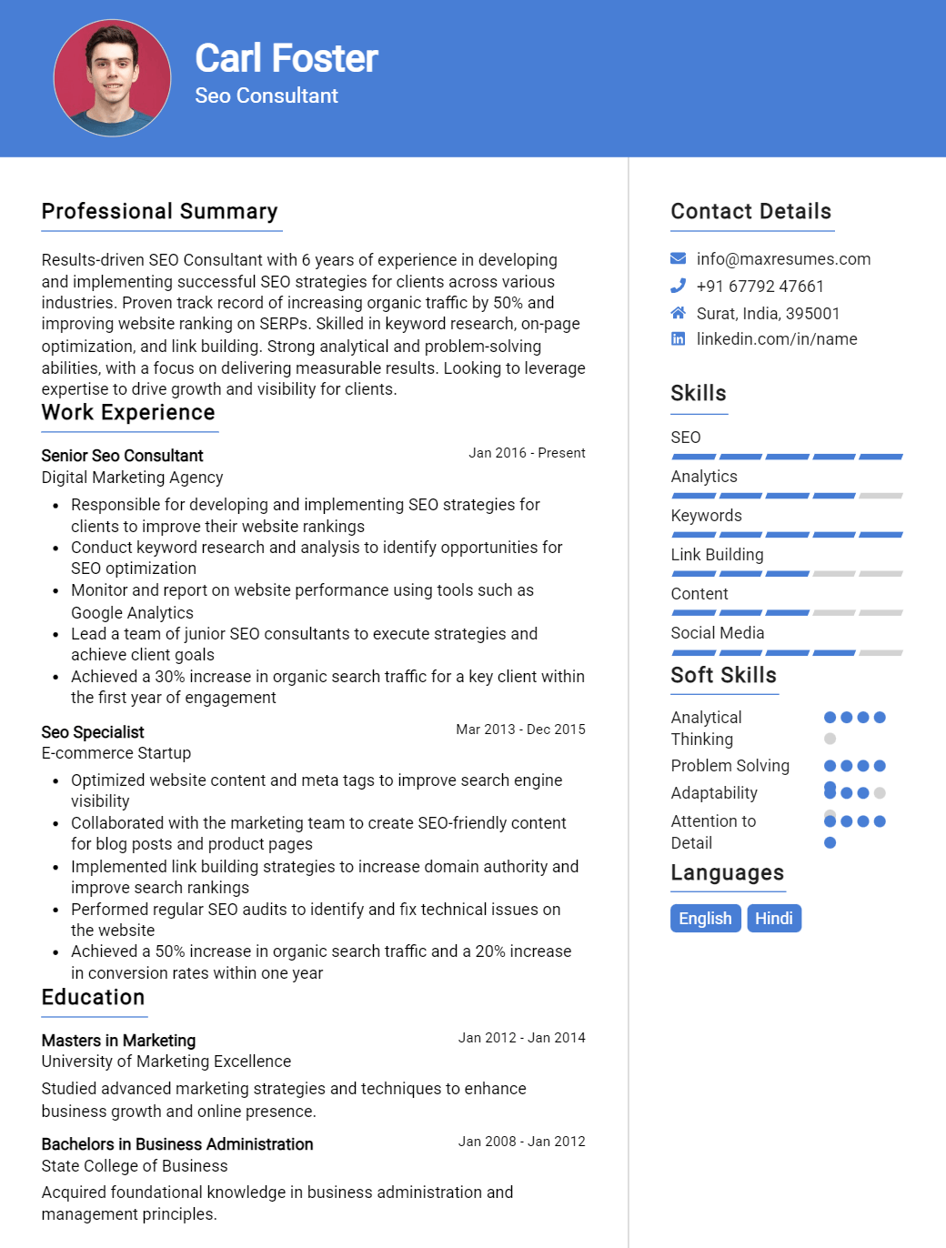 seo-consultant-resume-sample