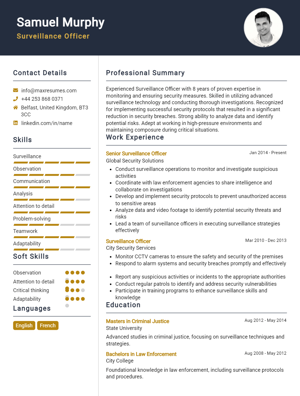 surveillance-officer-resume-sample