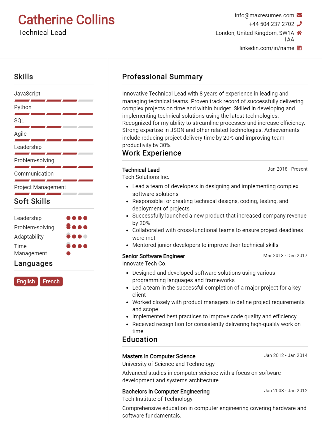 technical-lead-resume-sample