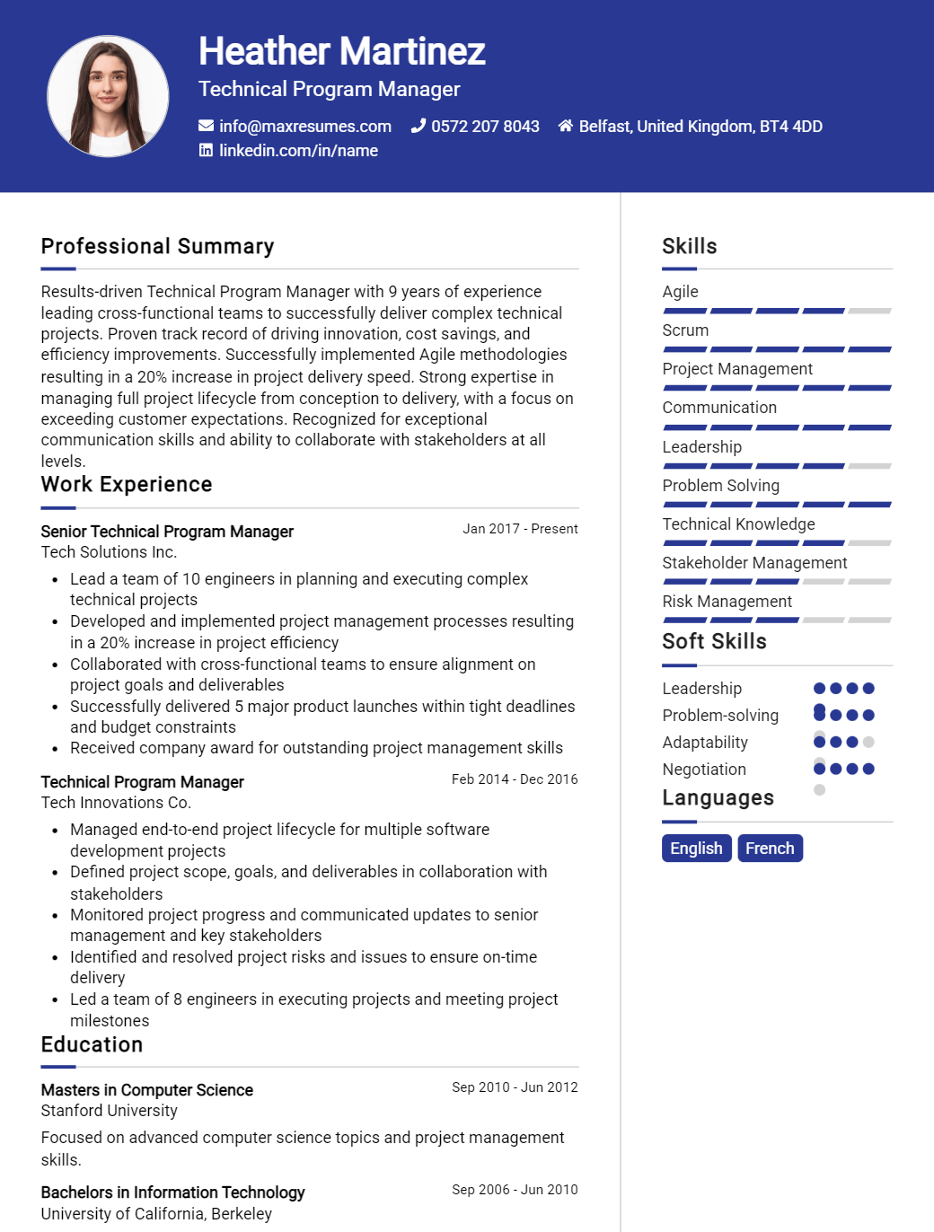 technical-program-manager-resume-sample