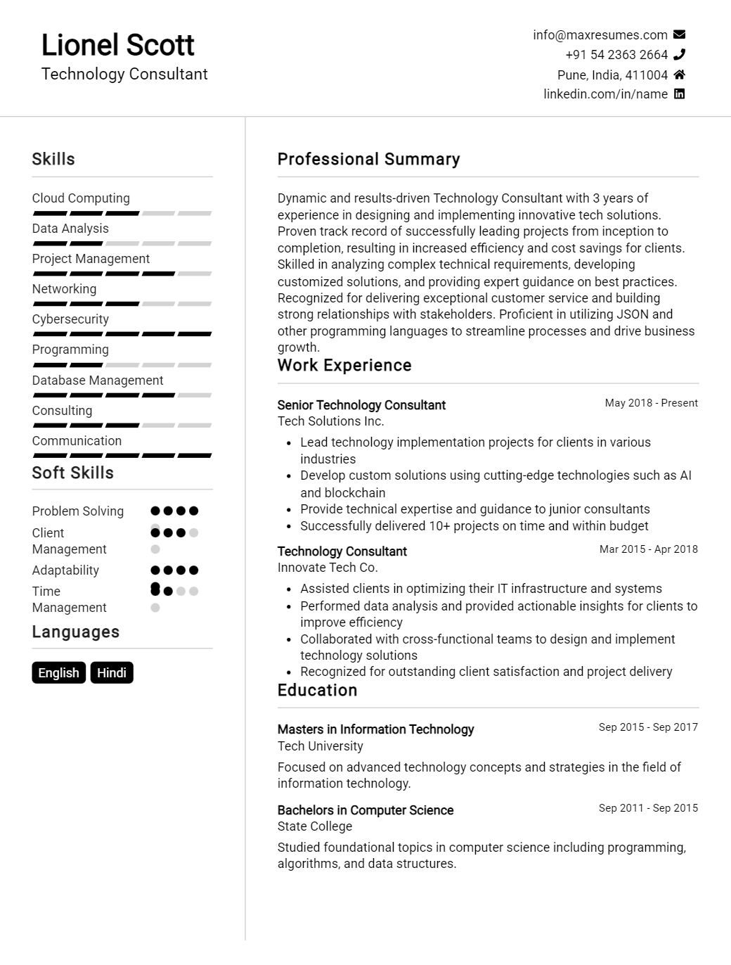 technology-consultant-resume-sample