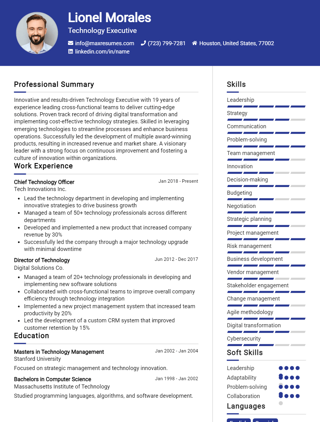 technology-executive-resume-sample