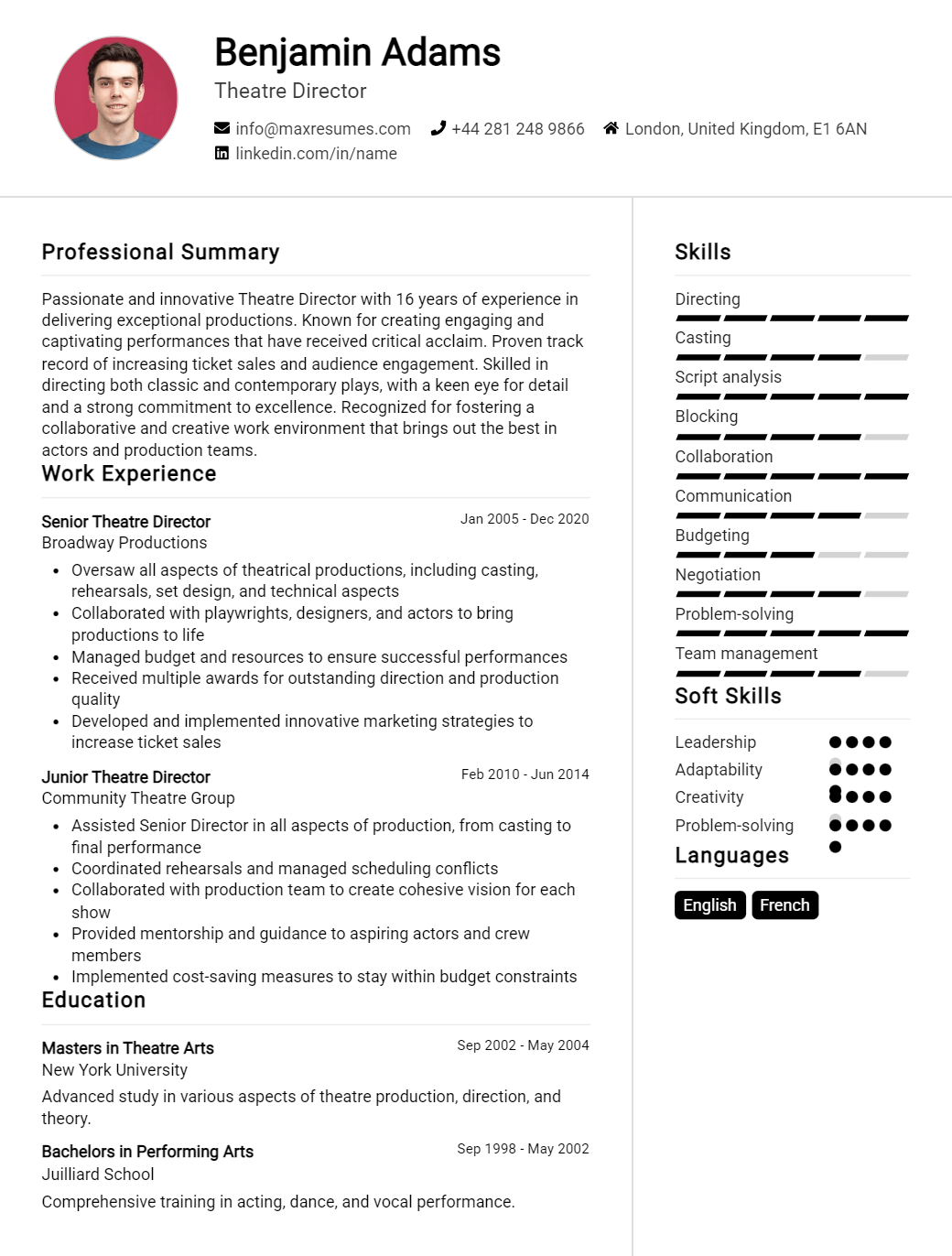 theatre-director-resume-sample