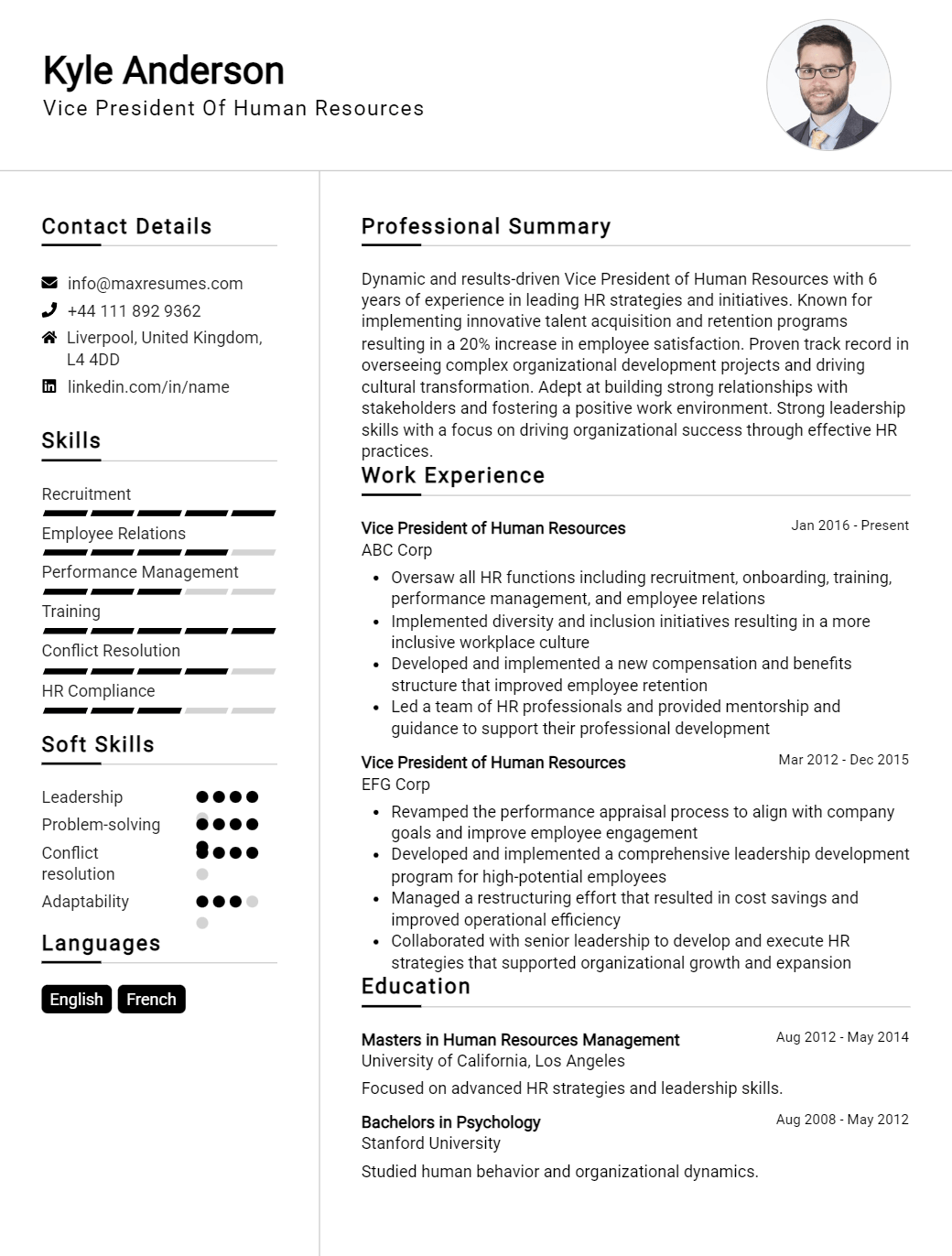 vice-president-of-human-resources-resume-sample