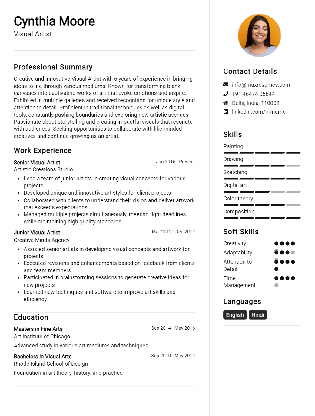 visual-artist-resume-sample