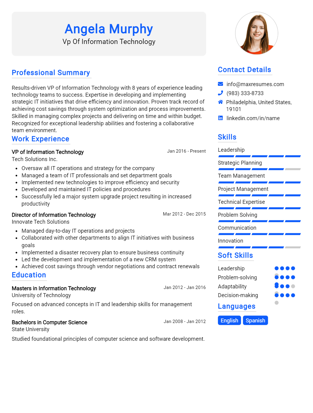 vp-of-information-technology-resume-sample