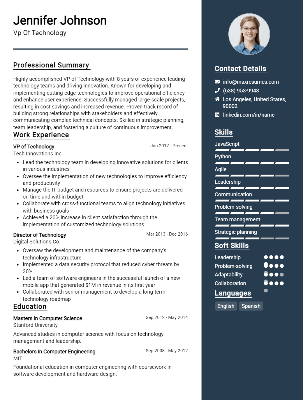 vp-of-technology-resume-sample