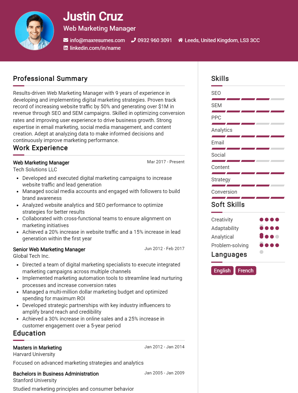 web-marketing-manager-resume-sample