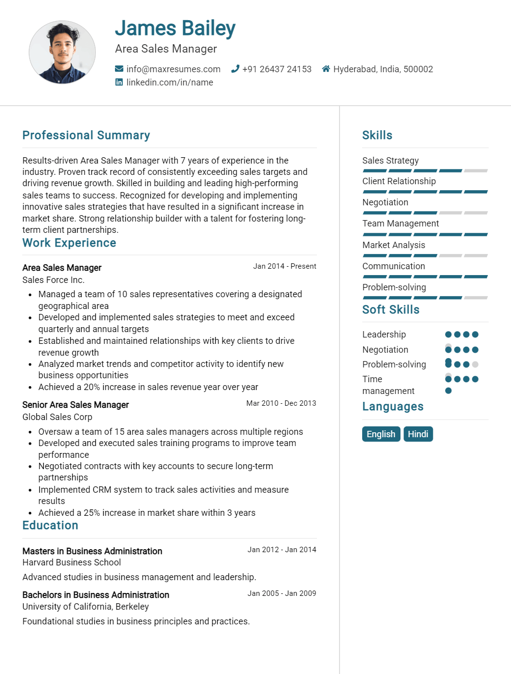 area-sales-manager-resume-sample
