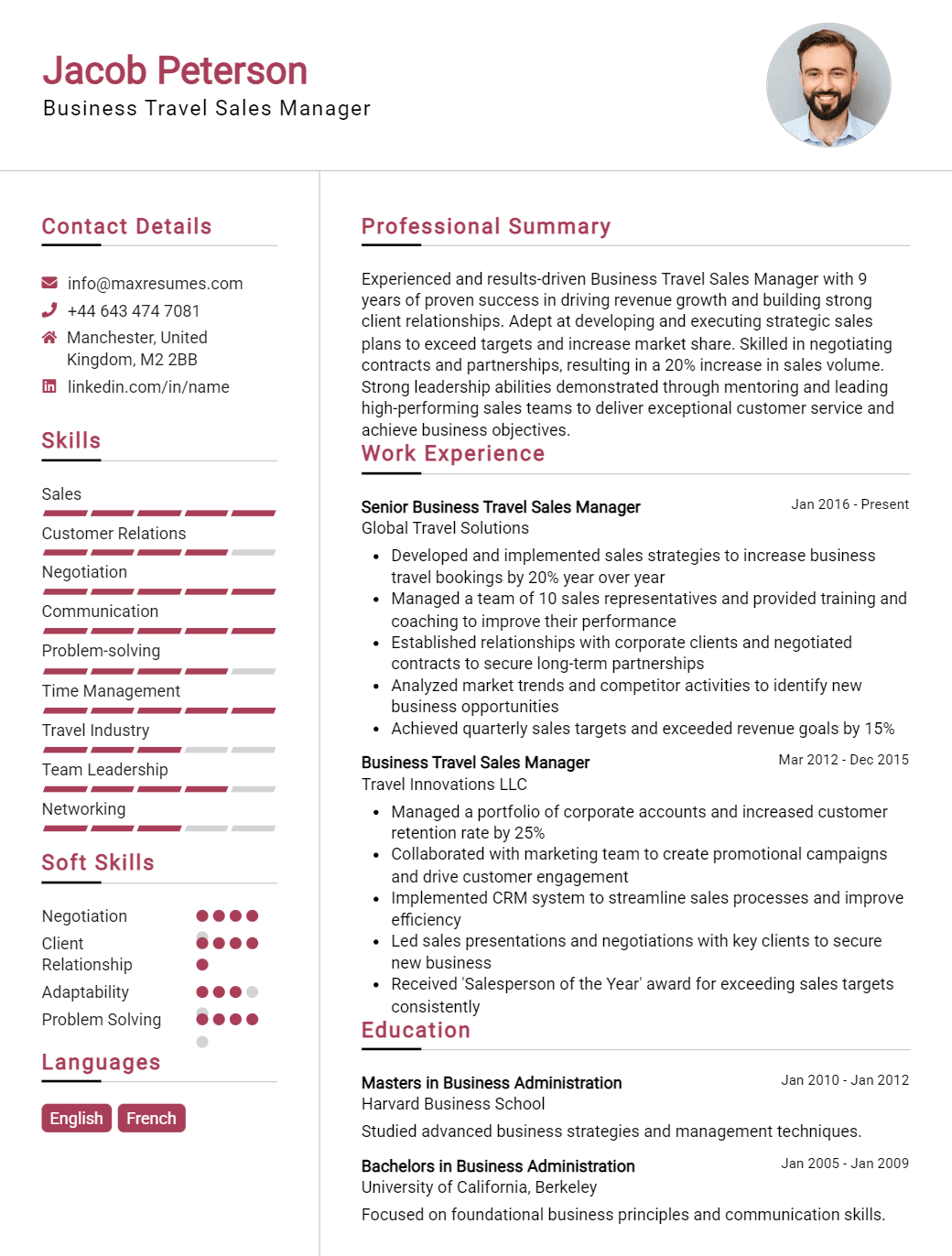 business-travel-sales-manager-resume-sample