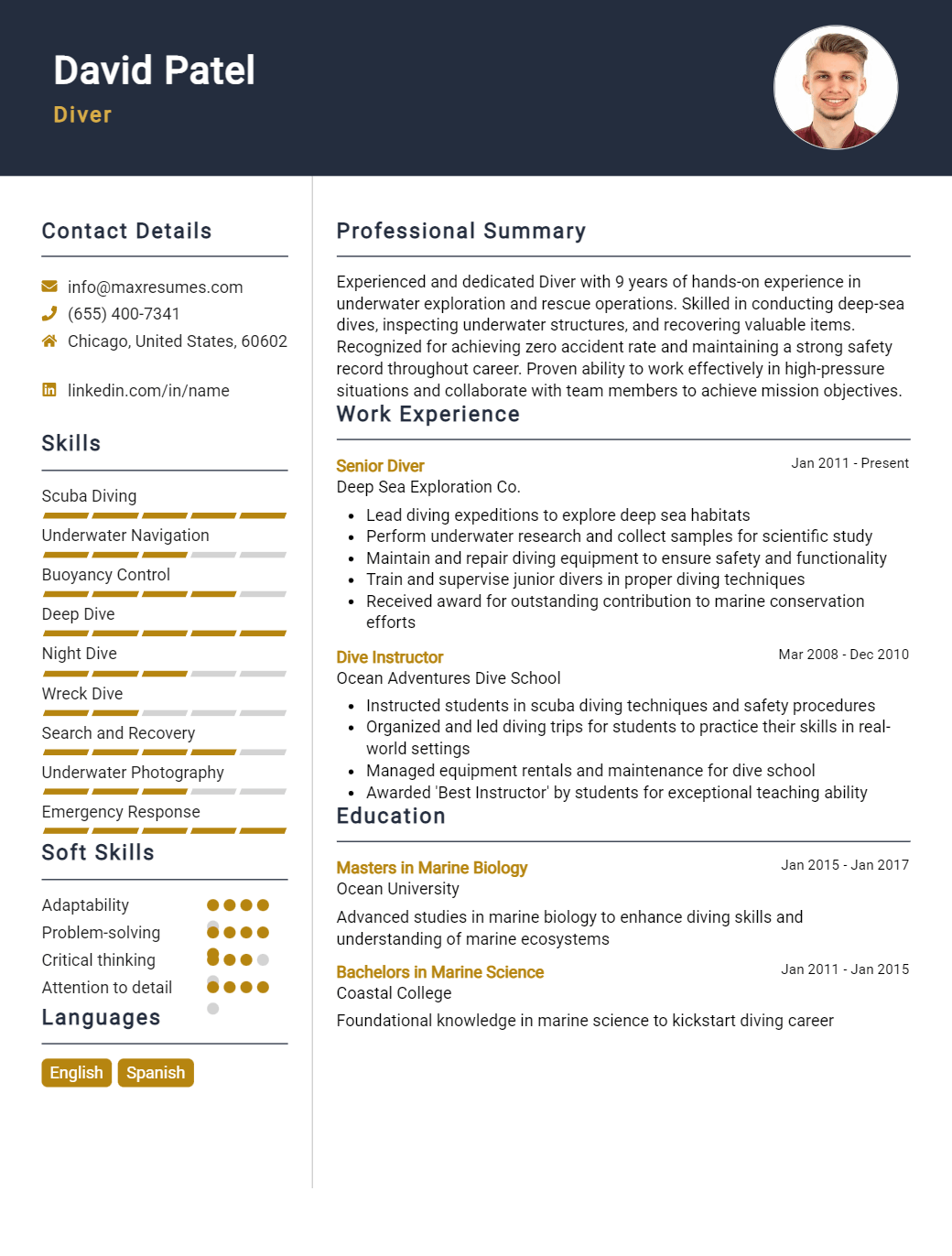 diver-resume-sample