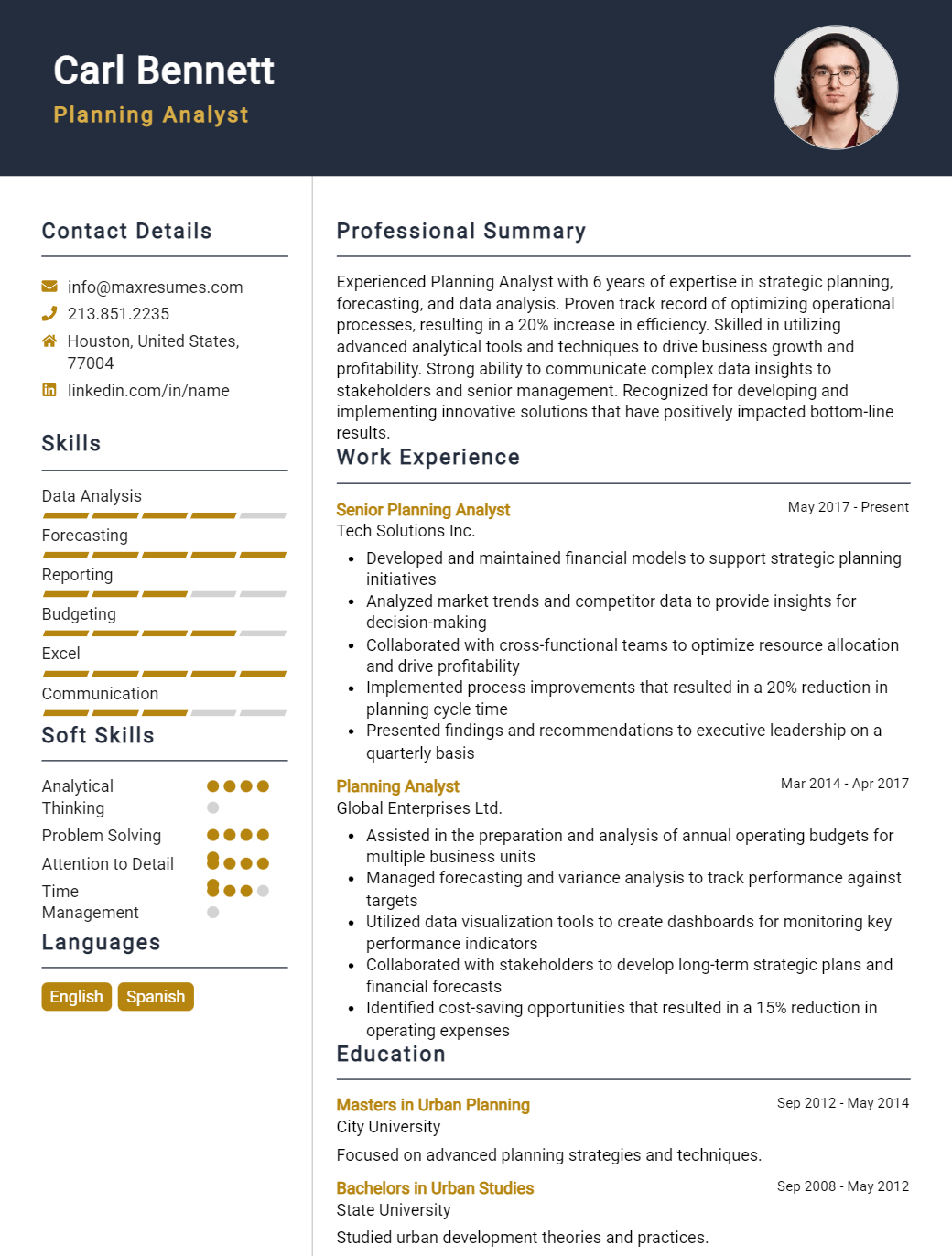 planning-analyst-resume-sample