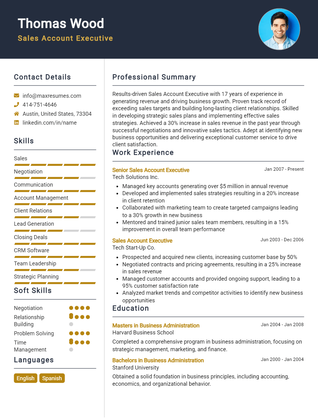 sales-account-executive-resume-sample