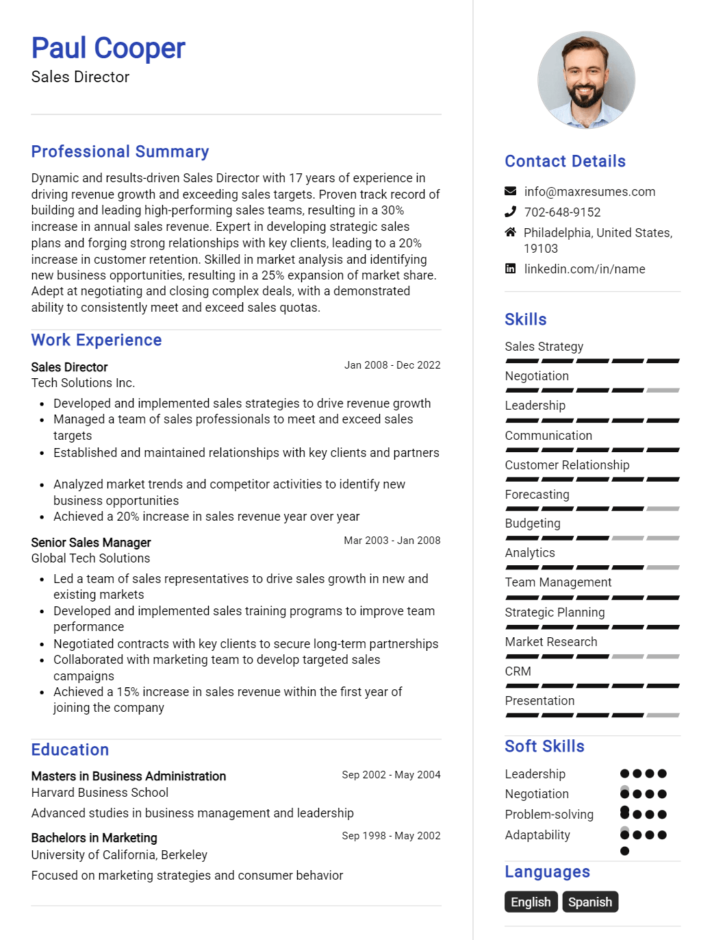 sales-director-resume-sample