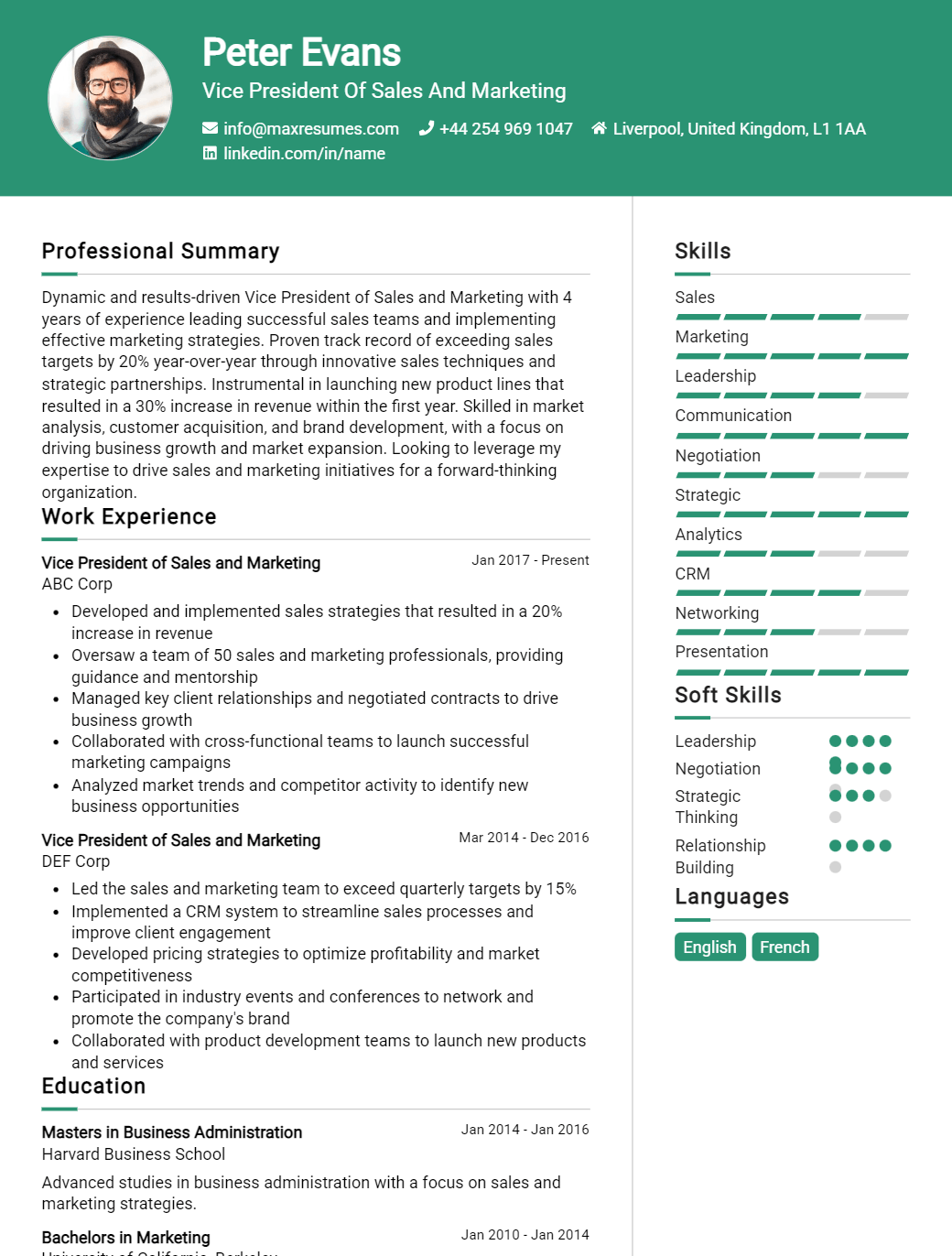 vice-president-of-sales-and-marketing-resume-sample