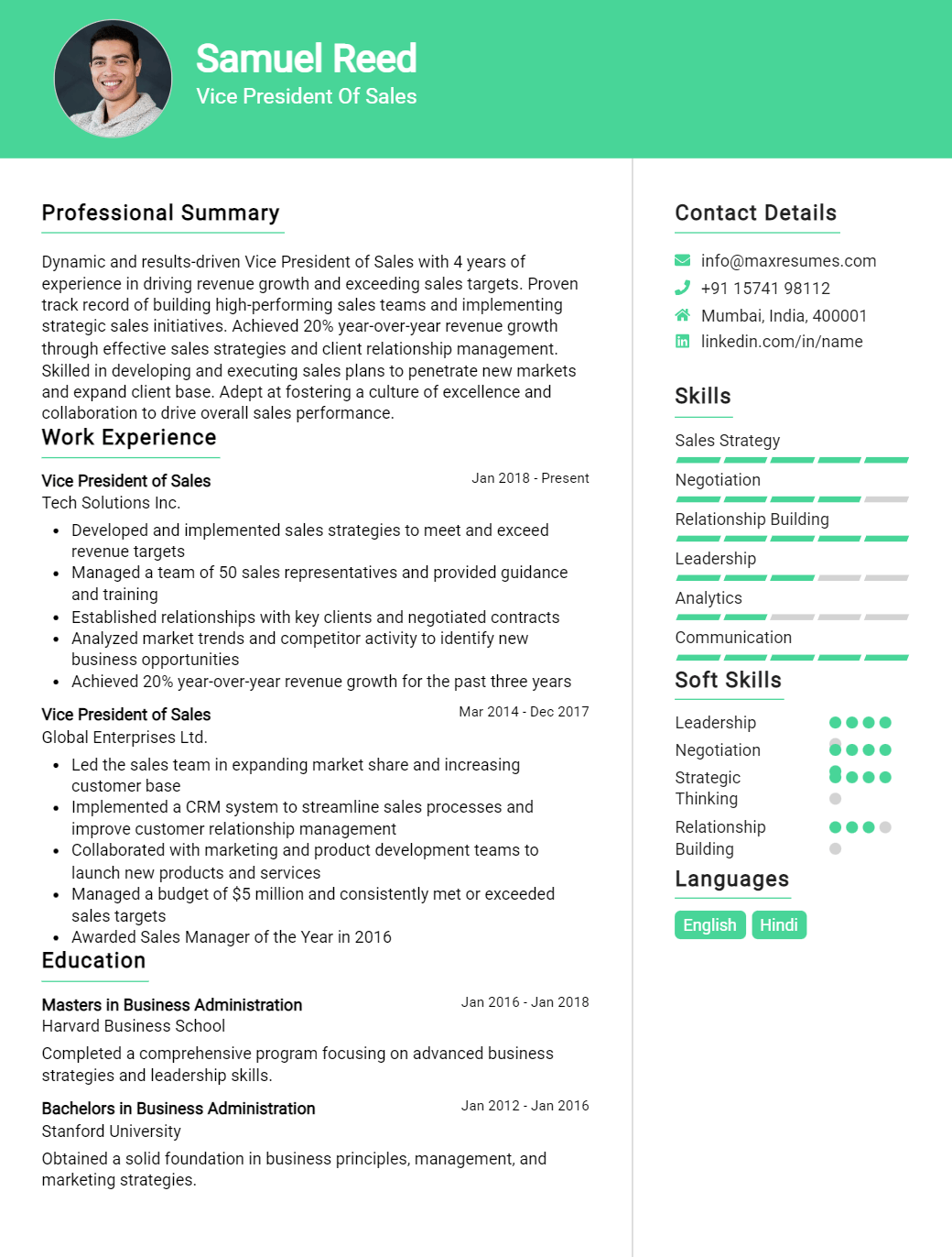 vice-president-of-sales-resume-sample