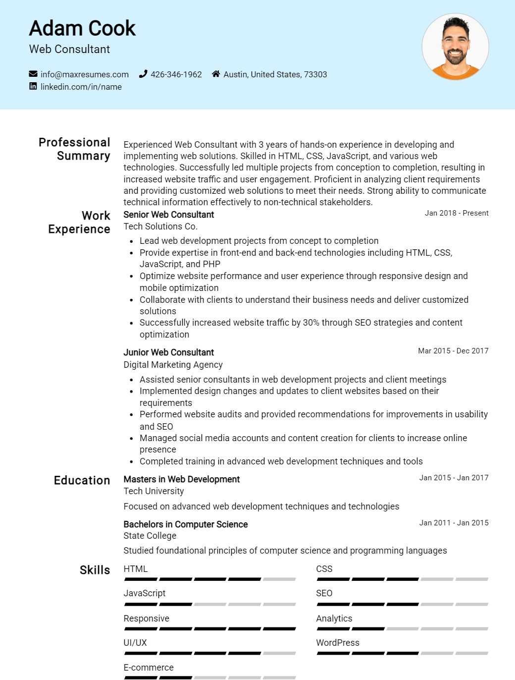 web-consultant-resume-sample